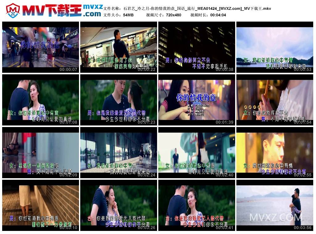 石君艺_冷之月-你的情我的意_国语_流行_MEA01424